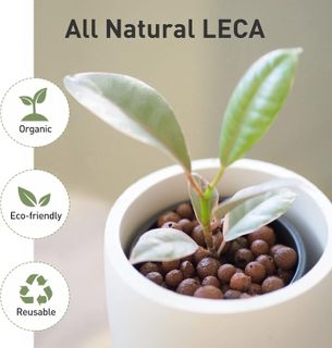 No. 1 - GASPRO 5lb LECA Expanded Clay Pebbles - 4