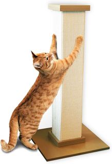 10 Best Cat Scratching Posts for Happy and Healthy Cats- 1