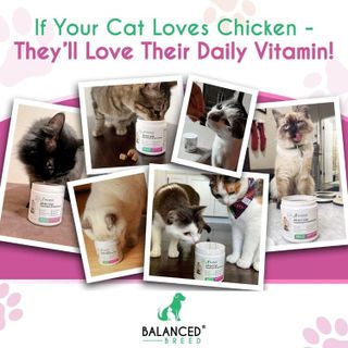 No. 7 - Balanced Breed Cat Multivitamins - 5