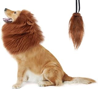 No. 10 - Lion Mane Dog Costume - 1