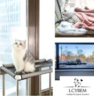 No. 10 - Lcybem Cat Window Perch - 4