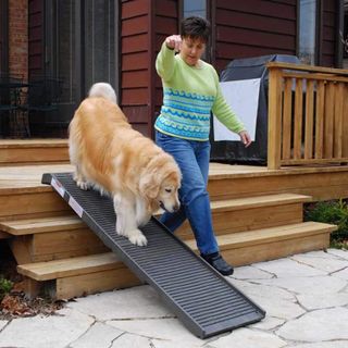 No. 8 - Petstep Dog Safety Ramp - 2