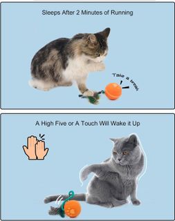 No. 9 - RRETECK Interactive Cat Toy - 3