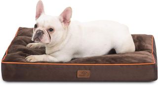 7 Best Dog Bed Pillows for Your Furry Friend- 2