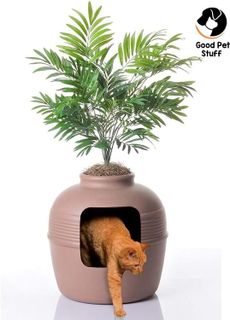 Top 10 Best Cat Litter Box Enclosures- 2