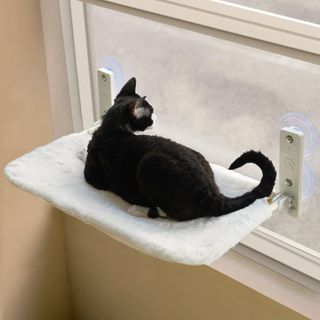 No. 8 - Cat Window Perch - 1