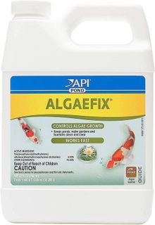 No. 1 - API POND ALGAEFIX Algae Control - 1