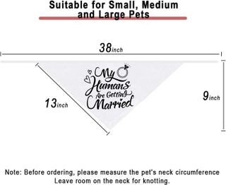 No. 3 - Dzmodz Wedding Dog Bandana - 4