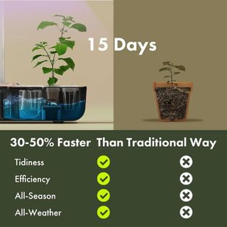 No. 10 - LYKOCLEAN Hydroponic Growing Kit - 5