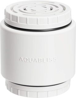 No. 4 - AquaBliss Shower Filter - 1