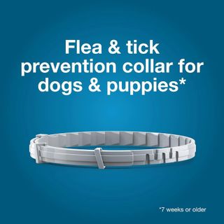 No. 3 - Seresto Large Dog Flea & Tick Collar - 4