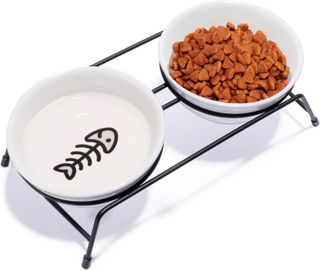 10 Best Raised Cat Bowls for Healthy Eating Posture- 1