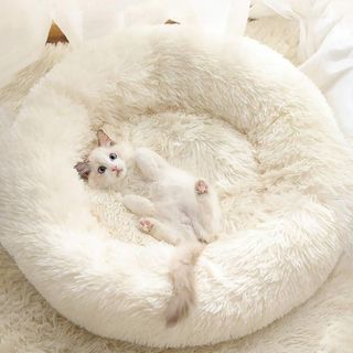 No. 10 - Gavenia Cat Beds - 1