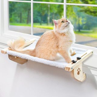 Top 10 Best Cat Window Perches for Ultimate Comfort and Entertainment- 3