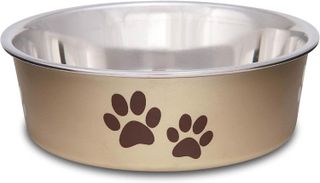 Top 10 Best Dog Bowls for Your Furry Friend- 1