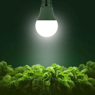No. 5 - Briignite Grow Light Bulbs - 2