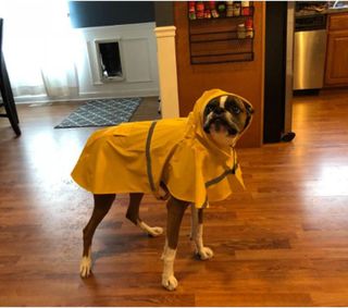 No. 3 - NACOCO Large Dog Raincoat - 4