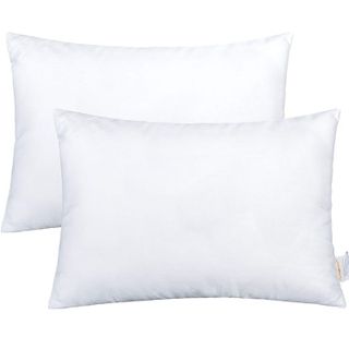 No. 7 - NTBAY Toddler Pillows - 1