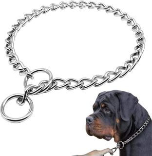No. 7 - Banhey Dog Collar - 1