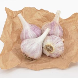 No. 8 - Garlic - 3