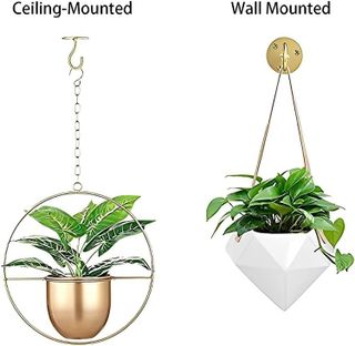 No. 9 - Ceiling Hooks for Hanging Plants - 5