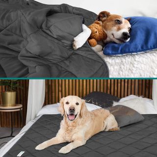 No. 10 - PetAmi Premium Cooling Dog Blanket - 2