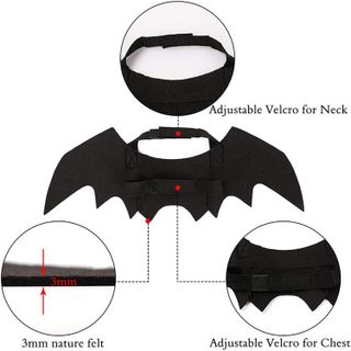 No. 3 - Bat Wings for Cats - 4