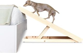 Top 10 Best Pet Safety Ramps for Dogs- 5