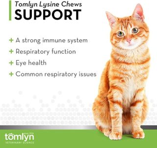 No. 10 - Tomlyn Immune Support Daily L-Lysine Supplement - 2