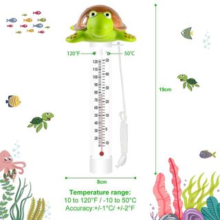 No. 7 - Turtle Style Swimming Pool Thermometer - 2