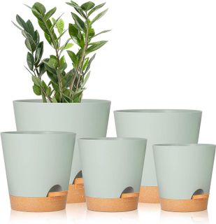 No. 5 - GARDIFE Plant Pots - 1
