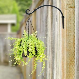 No. 6 - AJART Hanging Plant Hanger - 3