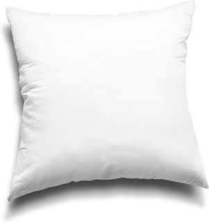 No. 2 - EDOW Throw Pillow Inserts - 4