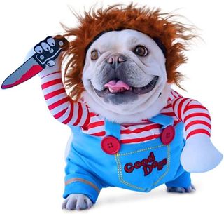 Top 10 Dog Costumes for Your Stylish Pooch- 4