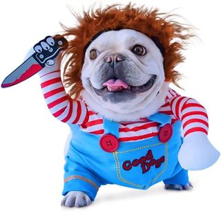 No. 4 - ZOPAC Dog Halloween Costume - 1