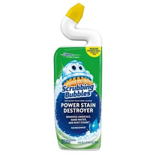 No. 10 - Extra Power Toilet Bowl Cleaner - 1