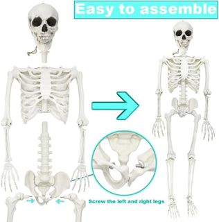 No. 9 - DINESIL 5.4ft Halloween Skeleton - 4