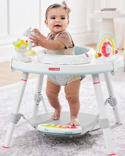 No. 1 - Skip Hop Baby Activity Center - 4