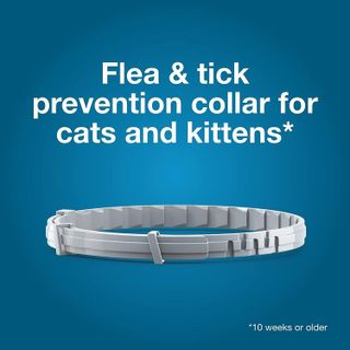 No. 3 - Seresto Cat Vet-Recommended Flea & Tick Treatment & Prevention Collar - 4