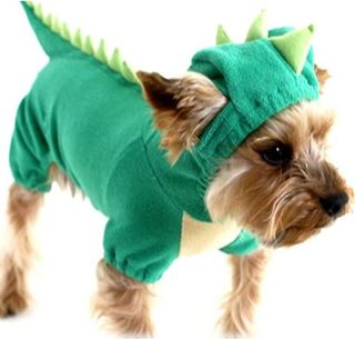 No. 7 - NACOCO Dog Dinosaur Design Costume - 2