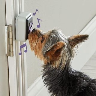 No. 10 - Hunger For Words Talking Pet Doorbell - 2