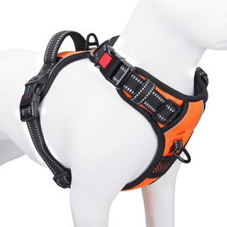 Top 10 Best Dog Harnesses for Walking and Adventure- 3