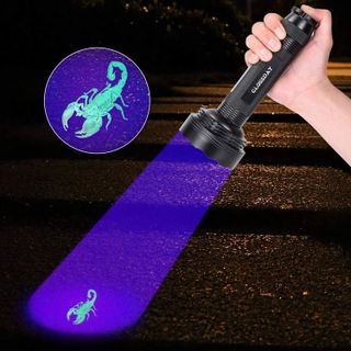 No. 10 - GLOSSDAY UV Flashlight Black Light - 5