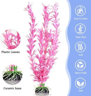 No. 7 - Fishdance Aquarium Plants - 2