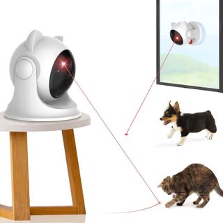 No. 10 - Saolife Cat Laser Toy - 1