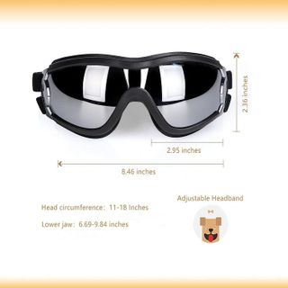 No. 1 - NVTED Dog Sunglasses - 4