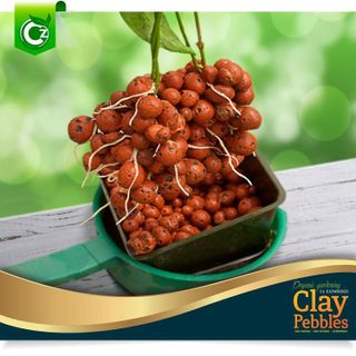 No. 7 - Cz Garden Supply Expanded Clay Pebbles - 3