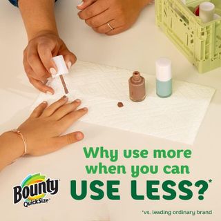 No. 2 - Bounty Paper Towels - 3