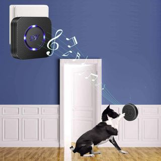 No. 7 - EverNary Dog Doorbell - 2