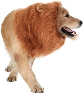 No. 1 - TOMSENN Dog Lion Mane Costume - 2